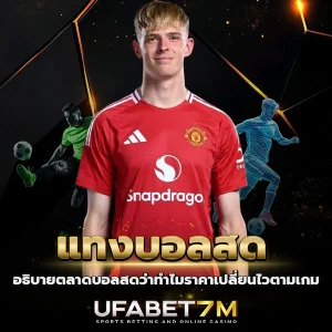 แทงบอลสด