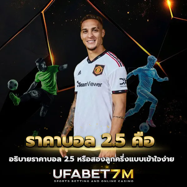 ราคาบอล 2.5 คือ